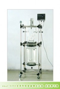 供应玻璃反应器